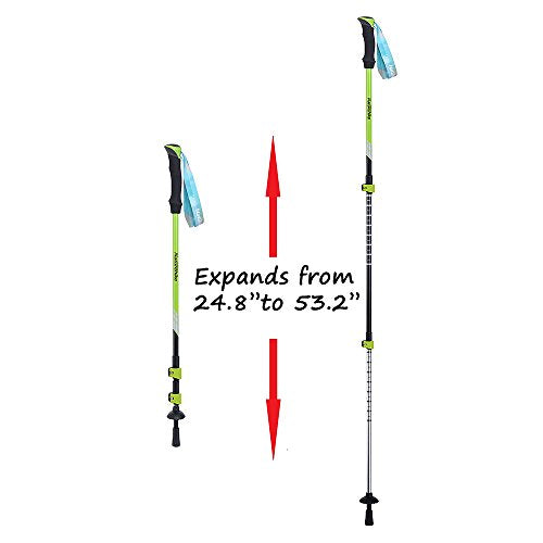 Naturehike Trekking Poles/Walking Sticks/Hiking Poles - 1 Piece (Green for Men)