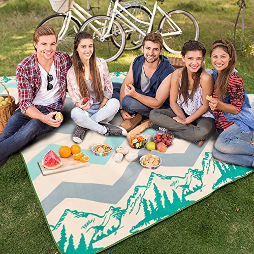 Naturehike Water Resistant All Purpose, Extra Large Outdoor Blanket, 78.7"×78.7 (Plaid)